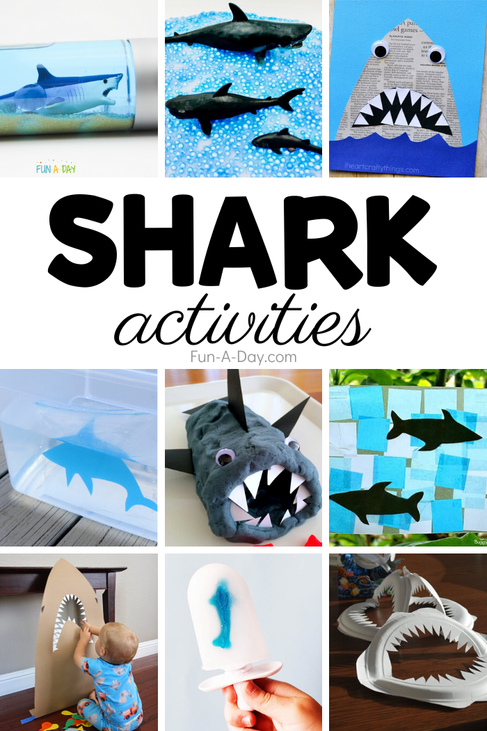 Shark Activities the Kids are Absolutely Going to Love