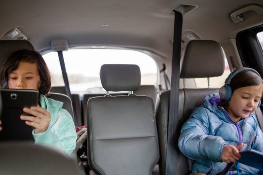 6 tips for surviving a road trip with a large family